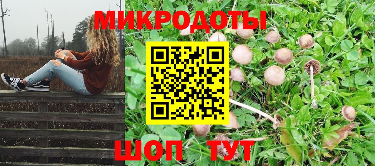 Псилоцибиновые грибы MAGIC MUSHROOMS  наркошоп  Верхний Уфалей  Вход с VPN 